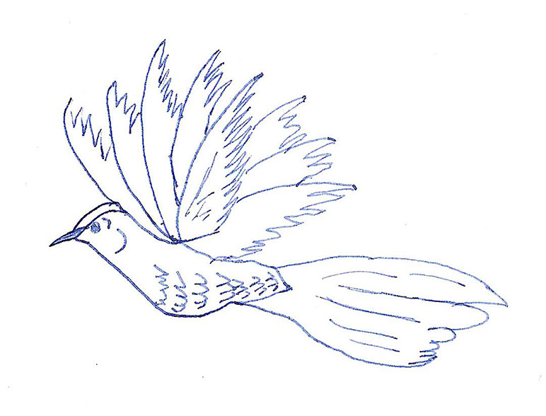 Aurora-Blue-Drawing