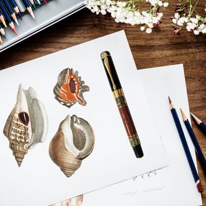 Using Luoshi-530-Fountain-Pen