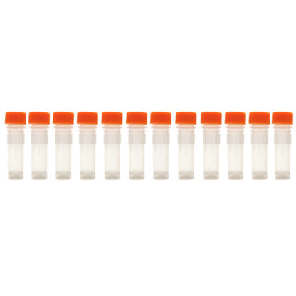 Orange 2ml Ink Vial Pack of 12