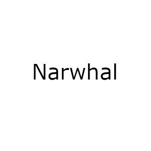 Narwhal